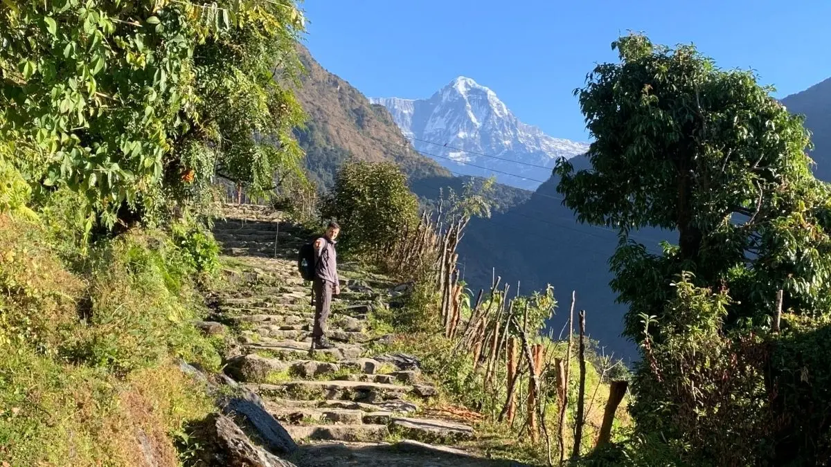 3 Days Ghorepani Poon Hill Trekking