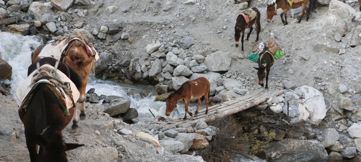 Lantang Gosaikunda with Surya Kunda Pass Trekking
