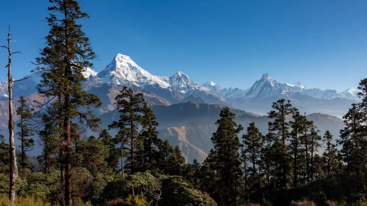 Mohare Danda Trekking