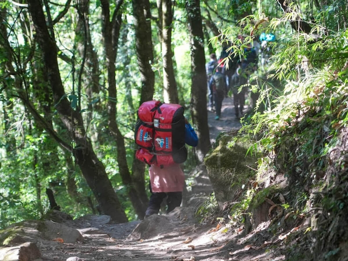 trail of Annapurna Base Camp Trek