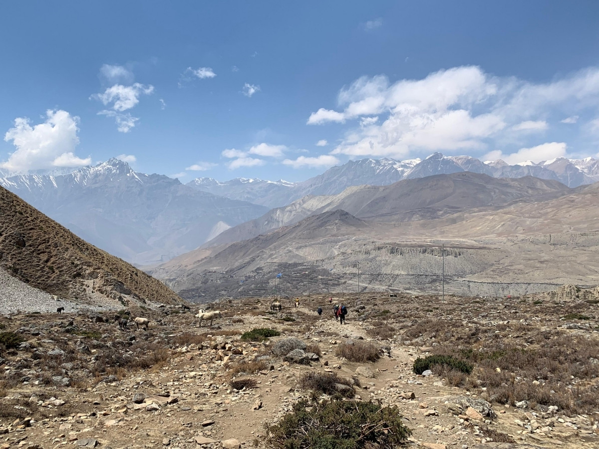 Annapurna Circuit Trek Route Guide 