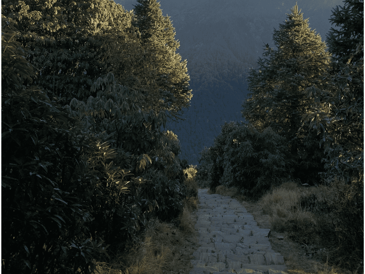 Poon Hill to Ghorepani