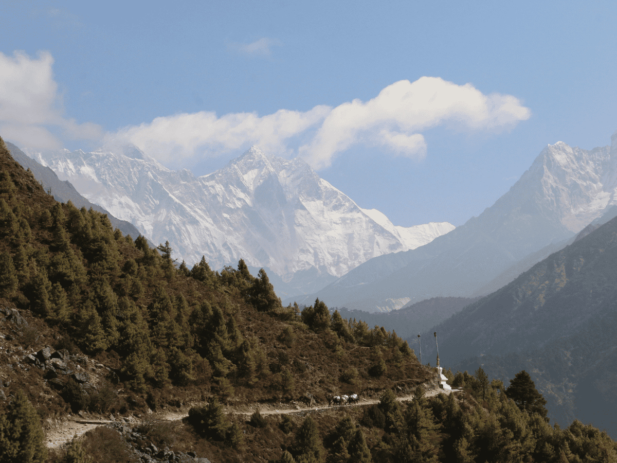 Namchebazar to Kyanjuma trail