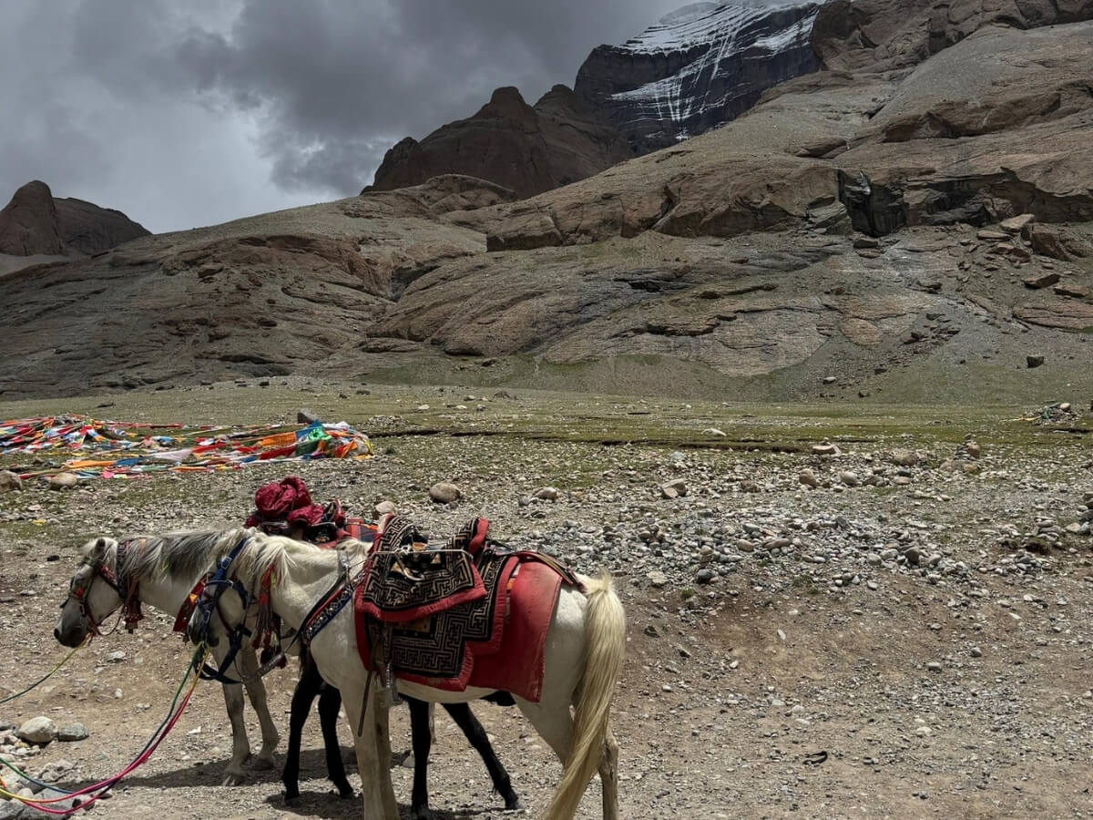 rescue during Kailash Journey
