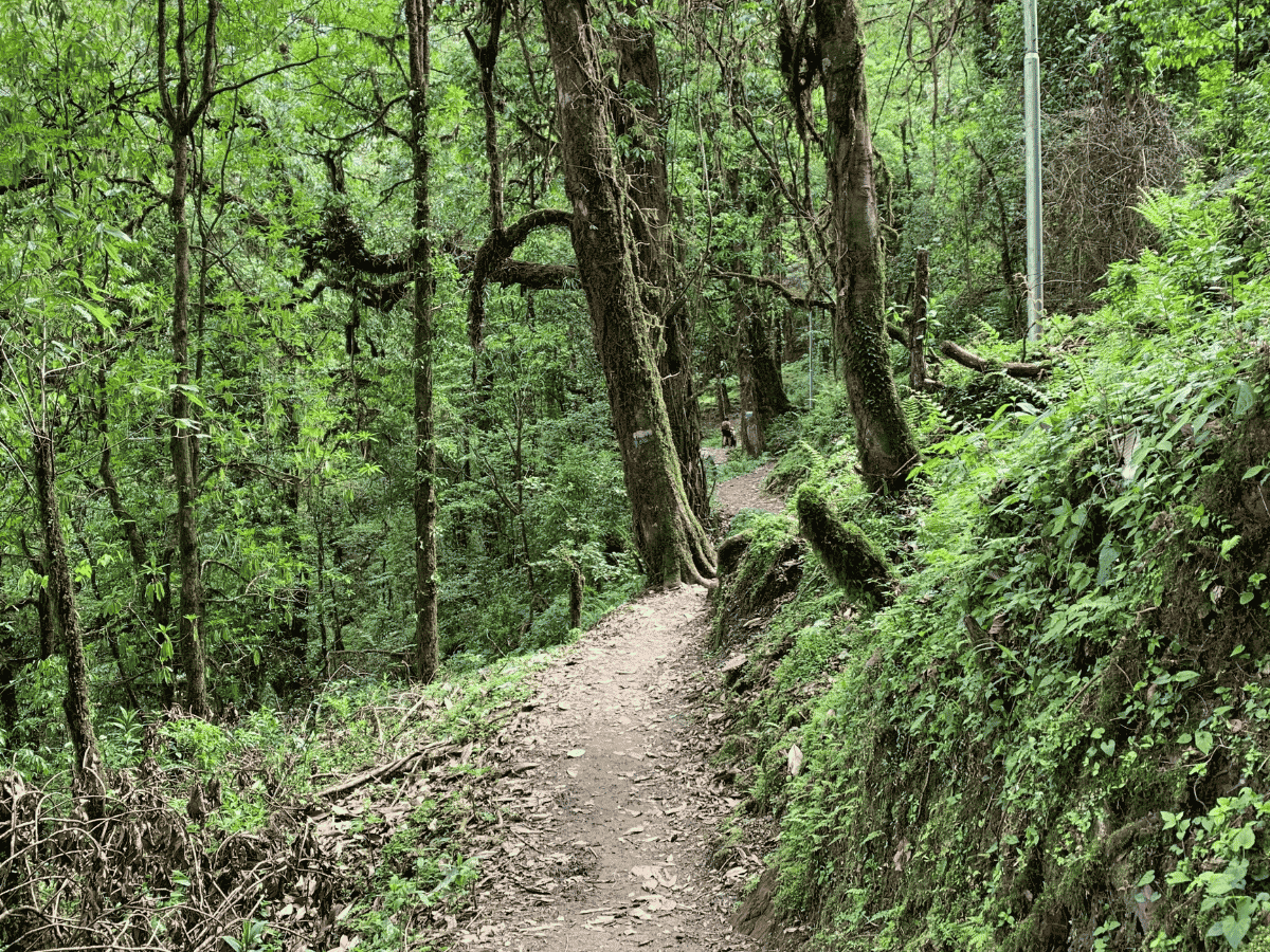 Mardi Himal Trekking Routs