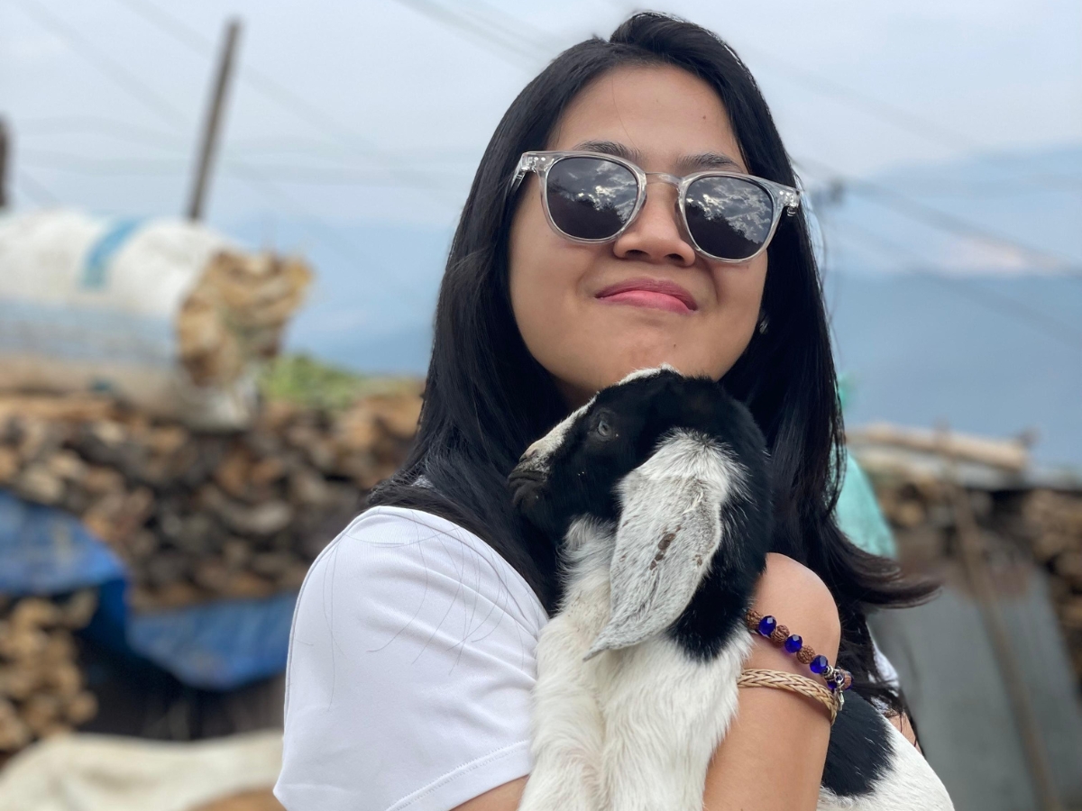 goat-during-changu-nagarkot-hike