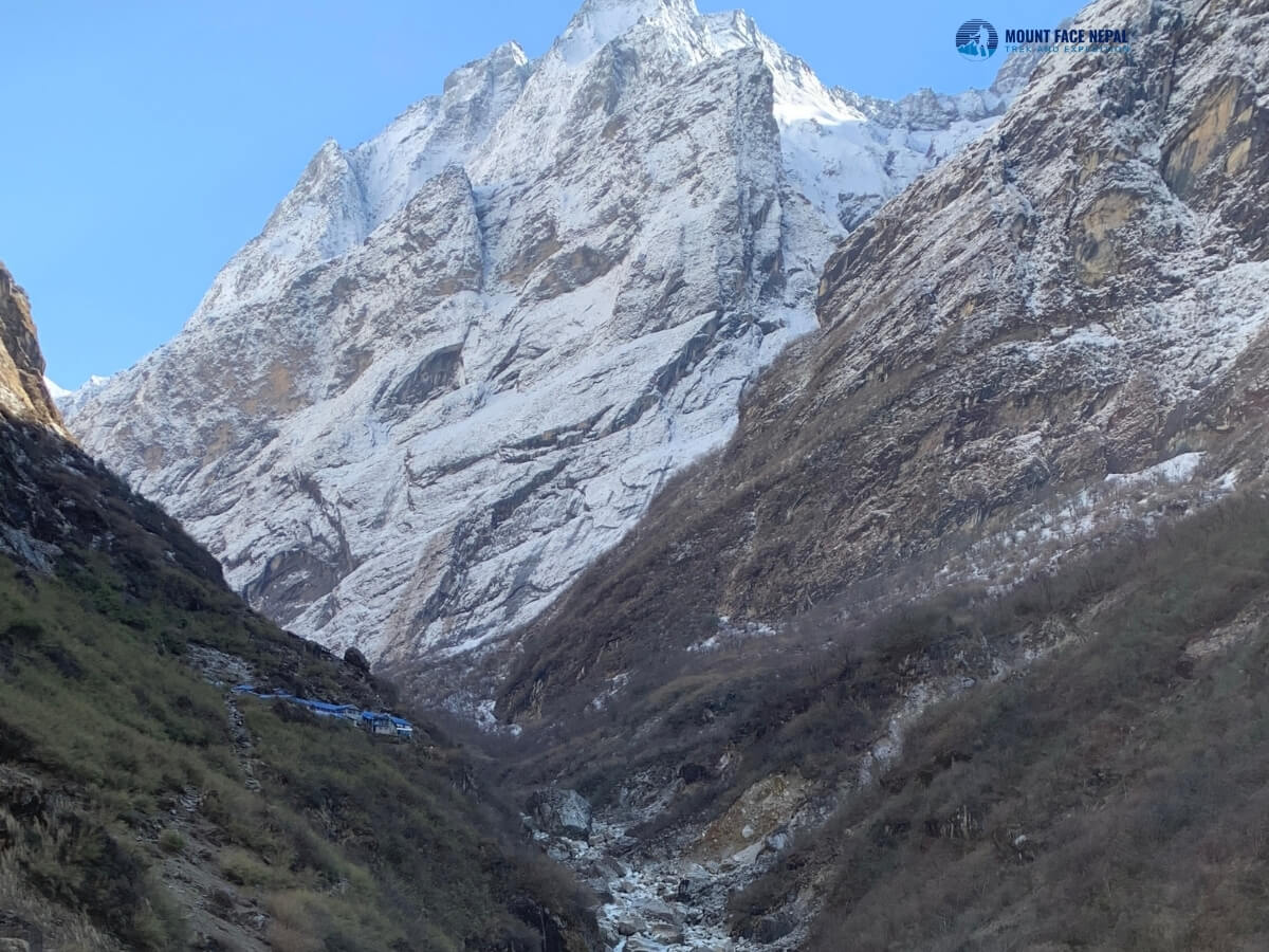 ABC Trek Form Pokhara Day 3