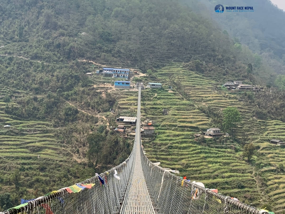 Jhinu Suspension Bridge