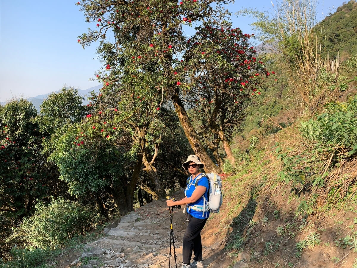 Aannapurna Sanctury Trekking from Pokhara