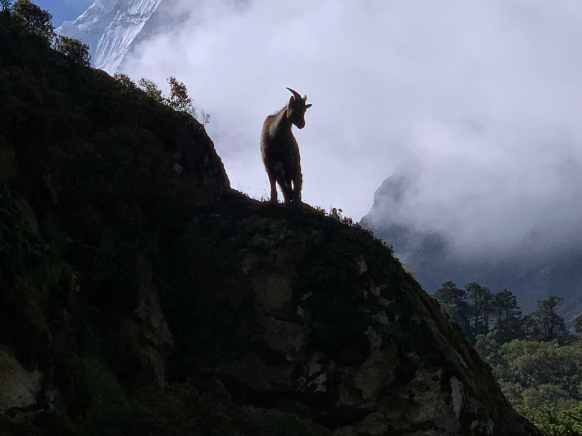 Everest Base Camp Trek