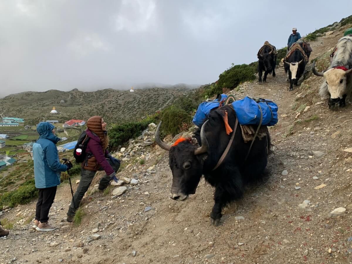 EBC Trek With Mount Face Nepal