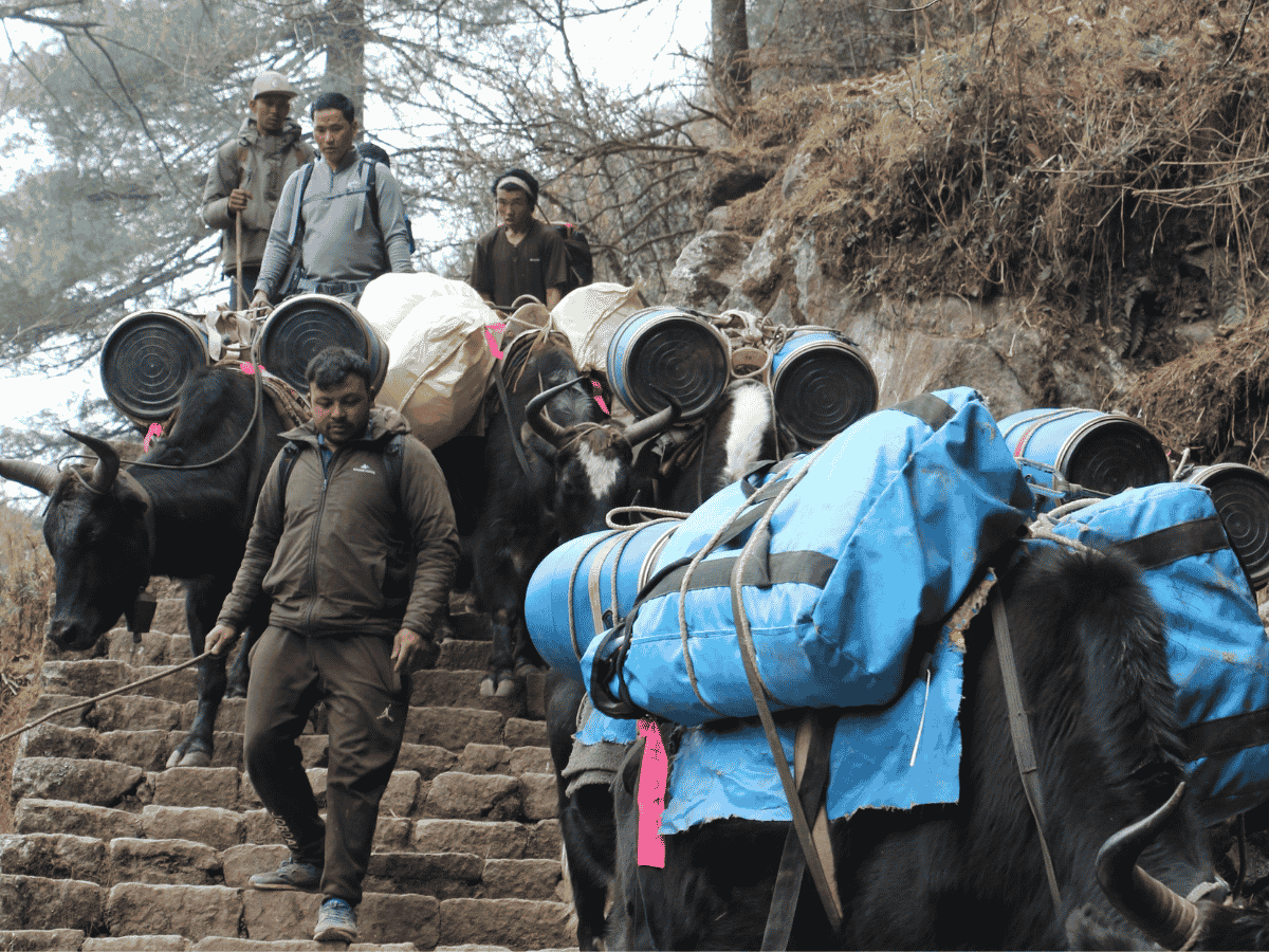 everest-view-trek-day-2