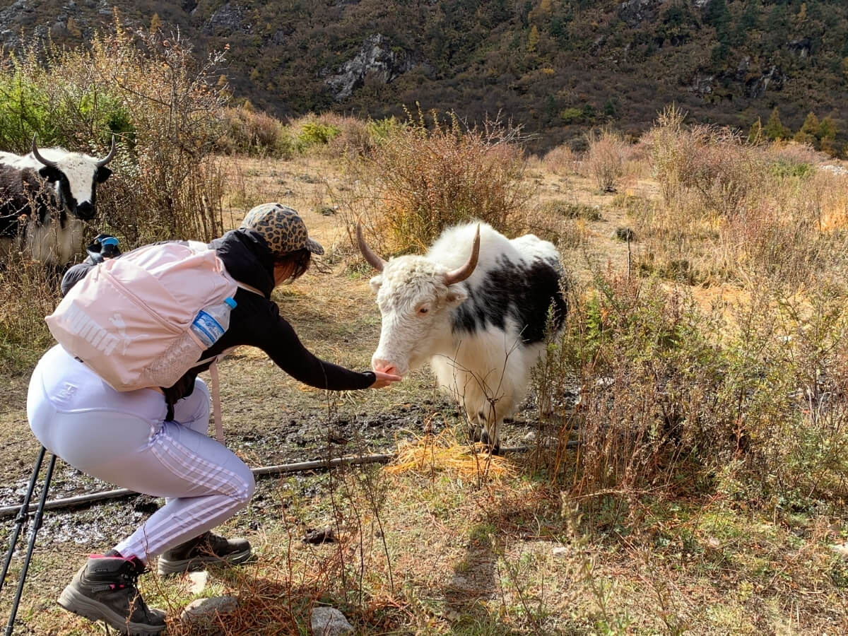 Kyanjin to Lama Hotel