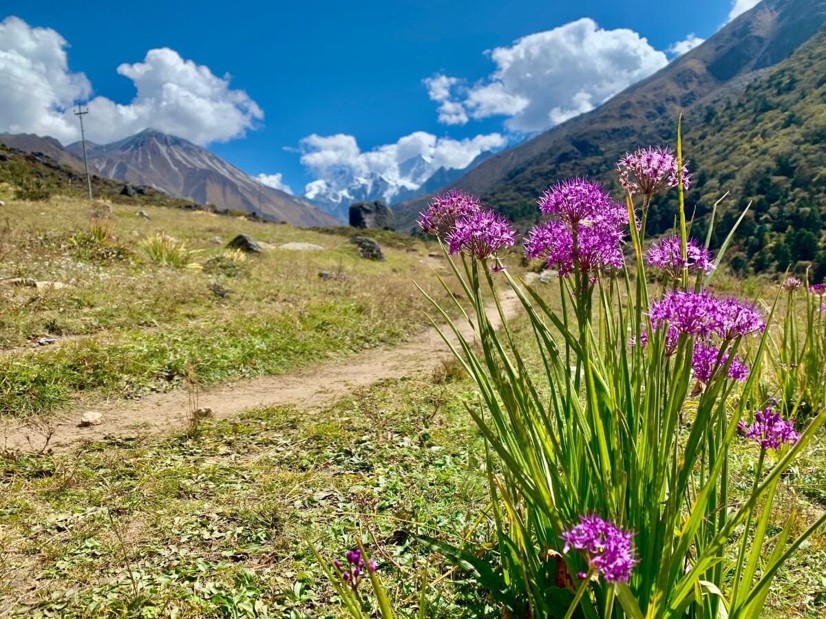 Langtang Trekking in Nepal