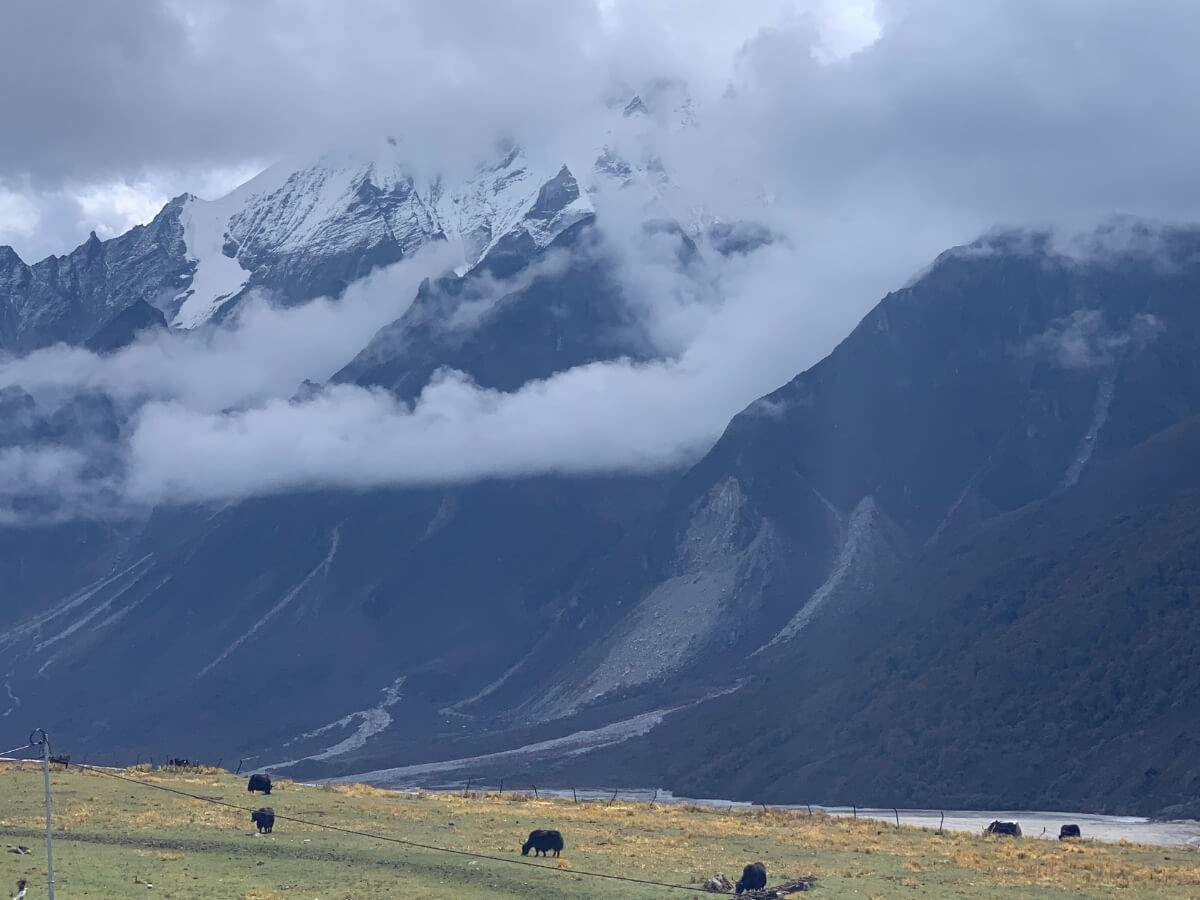 Langtang Valley Trek