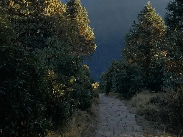  Horepani Poonhill Jeep Tour 10