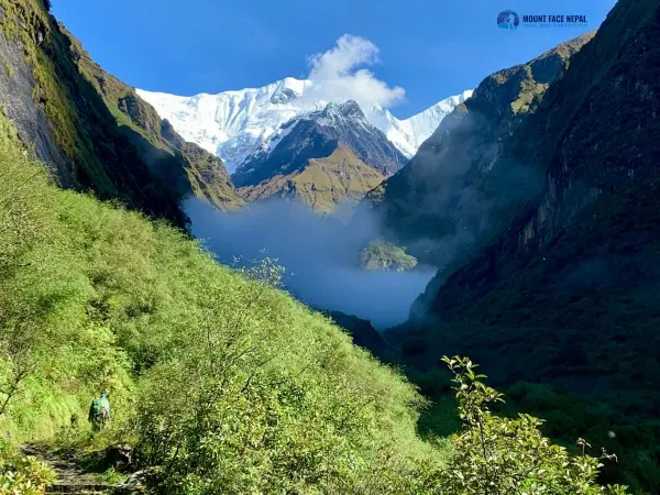 Abc Trekking Via Pokhara