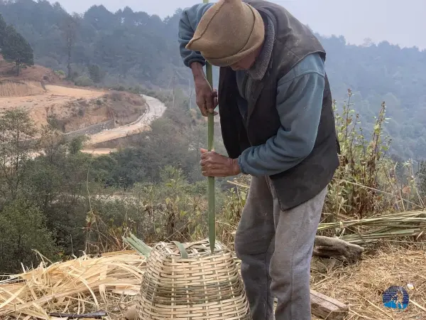 Chisapani Nagarkot Trek Nepal Mfn 4