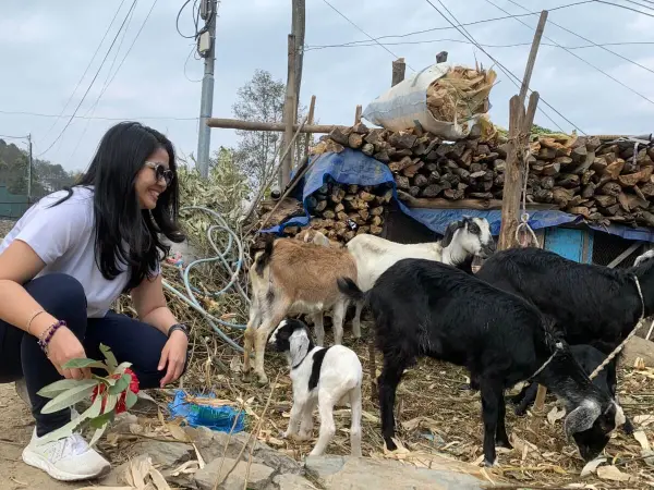 Day Escape Changunarayan Nagarkot