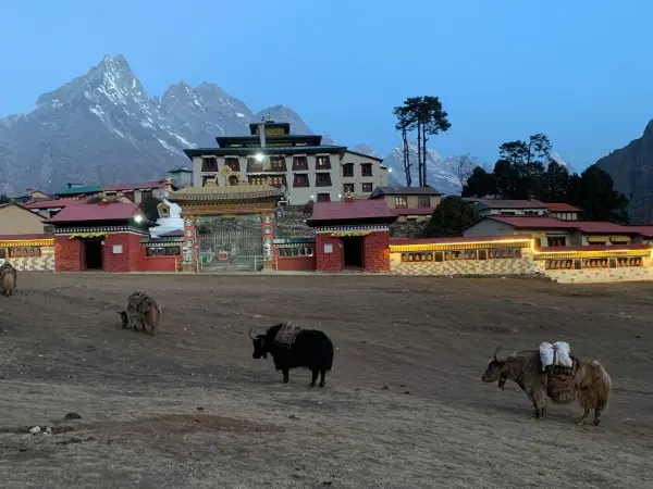 Everest Base Camp With Chola Pass Treks