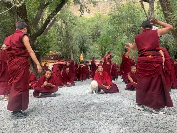 Kailash Trip Via Lhasa Mfn Monk