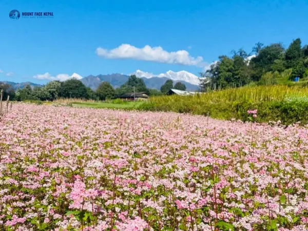Khopra Danda Hiking 1