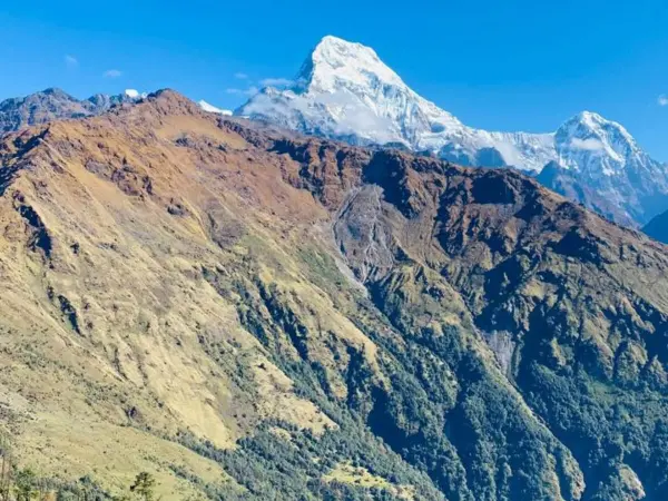 Khopra Danda Hiking 4