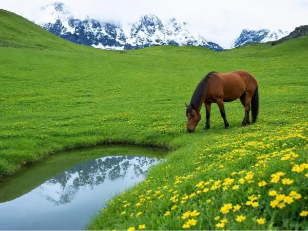 Kori Danda Trek In Nepal