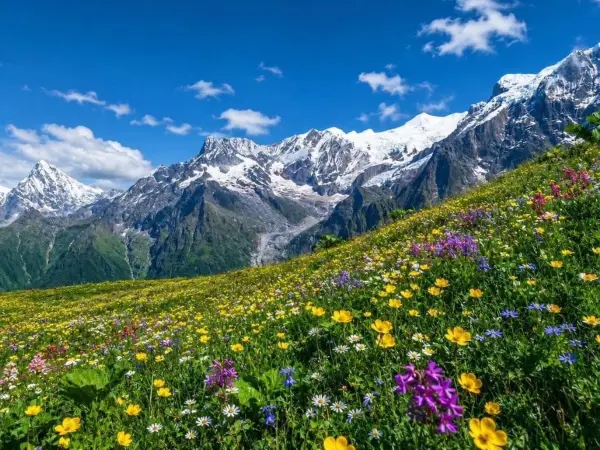 Kori Danda Trekking