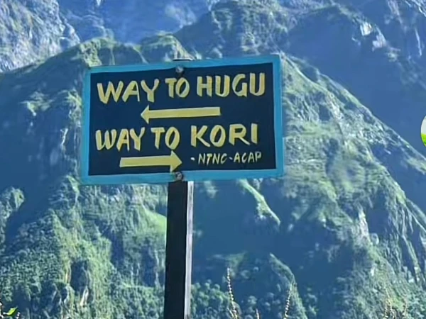 Kori Trek