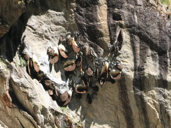 Langtang Gosaikunda With Sura Kunda Pass Trek In Nepal 2