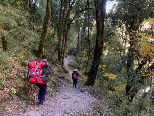 Langtang Valley Treks Mfn