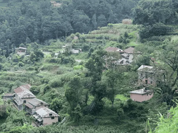 Local Village At Namobudha