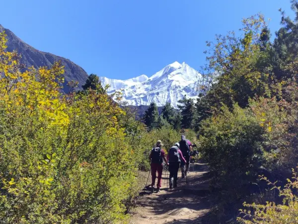 Lower Dolpo Trek Mfn 2