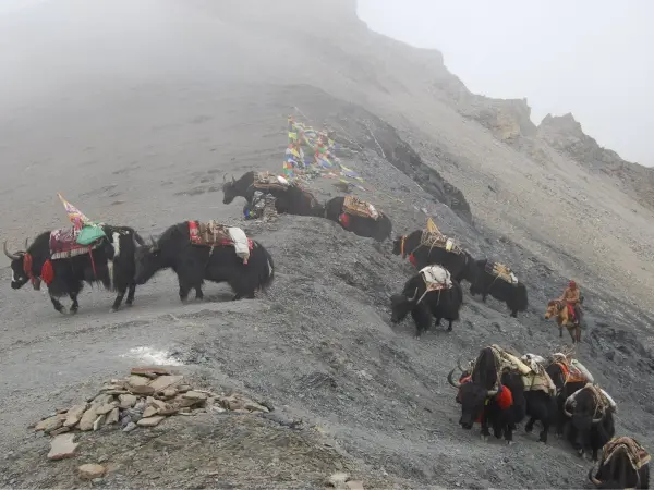 Lower Dolpo Trek Mfn