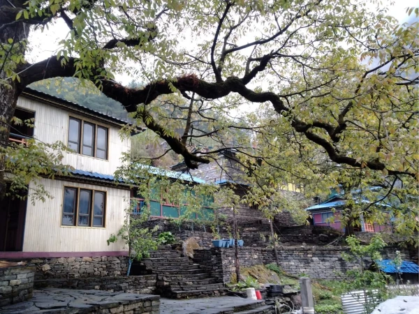 Manalsu Trekking In Nepal