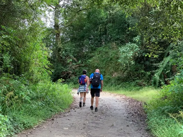 Nagarkot Day Hike 2025