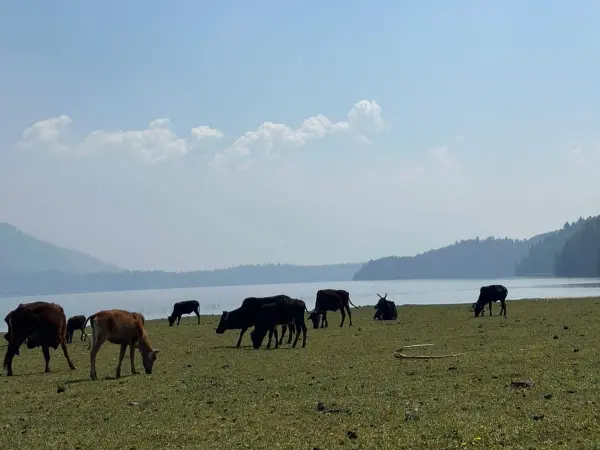 Rara Jeep Tour Package Mfn