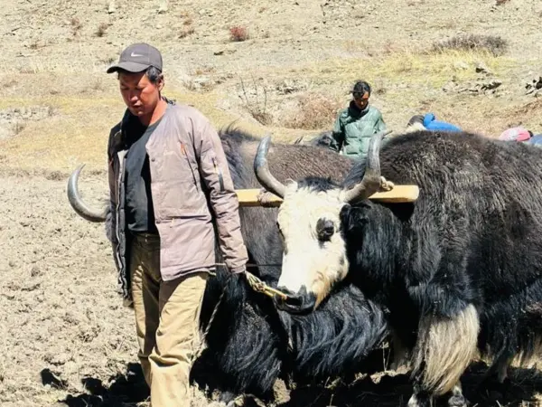 Shey Phoksundo Lake Trek Mfn 3