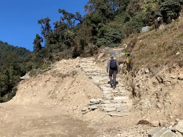 Trekking Trail During Ghorepani Treks