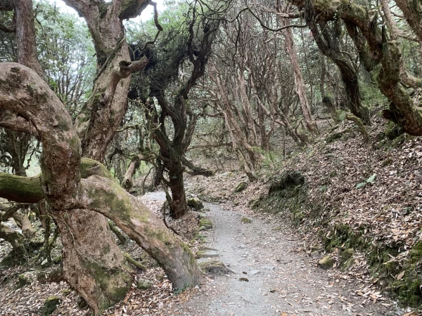 Trekking Trail Ghorepani
