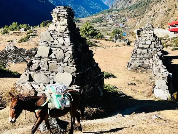 Tsum Vally Trek In Nepal