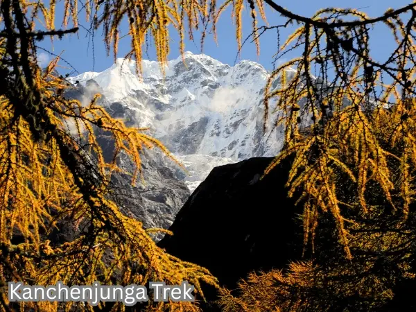 Kanchenjunga Trek