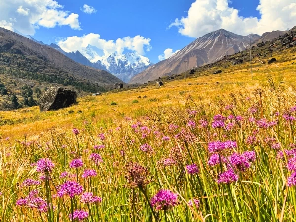 Langtang Valley Trekking