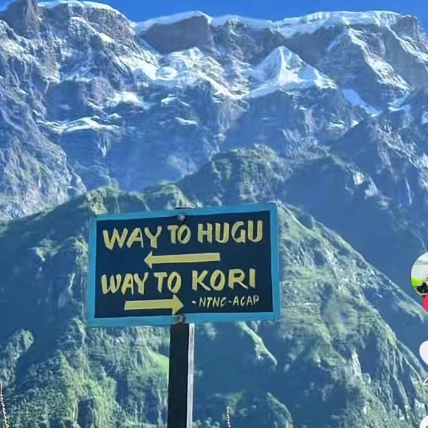 Kori Trek Reveiw