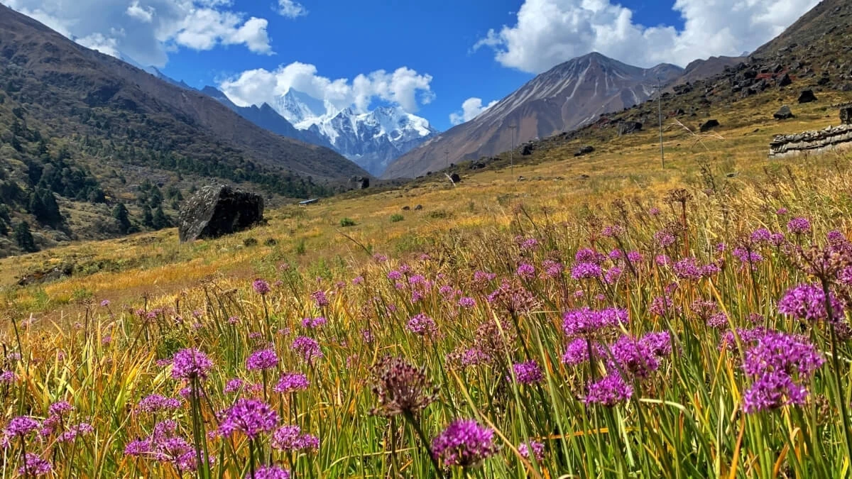 Lantang Valley Trekking